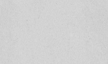 ciu-spring-fest-2024-webB