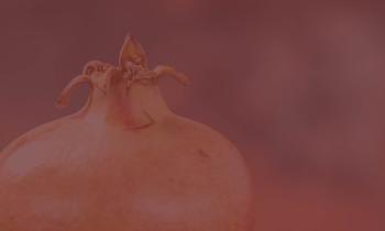 Yalda Night Poster.jpg