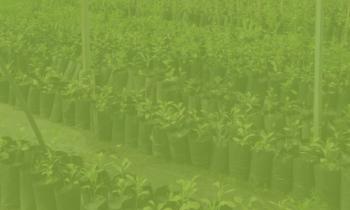 Lefkoşa Fidan Bahçesi Gezisi-04.jpg